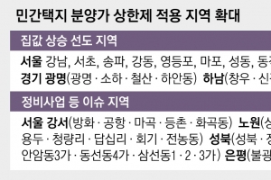 핀셋→그물망 조치… 서울 18개구·과천·광명도 분양가 상한제