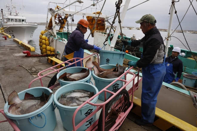 일본 후쿠시마 현 소마 시 항구에서 어부들이 잡아 온 생선들을 배에서 내리고 있다. 2019.11.27  AP 연합뉴스