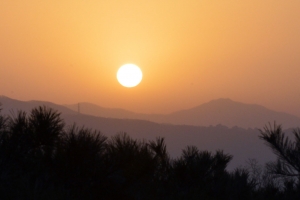 1월1일 성남 판교 마당바위서 해맞이 행사