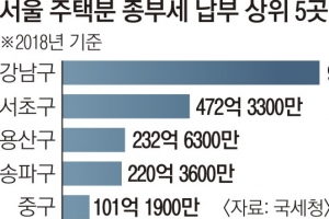 강남3구·용산, 작년 전국 주택분 종부세 42% 냈다