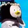펭수 드레스 ‘MBC 연예대상’ 올킬 “시상식 초대된 최초의 펭귄”