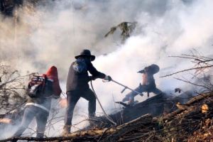 춘천 산불 21시간 만에 진화…헬기와 군·경 동원 잔불 정리 중