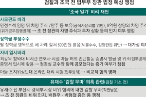 ‘아들 대리시험’ 비교적 혐의 명확…‘딸 장학금=뇌물’ 등은 다툼 예고