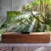 테두리 없고 두께도 15㎜ ‘삼성 8K TV’…천장서 돌돌 내려오는 ‘LG 롤러블 TV’