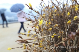 미세먼지 씻어내리는 겨울비 내린다...많은 곳은 120mm까지