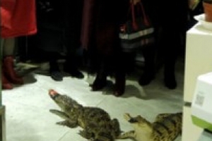 ‘아내의 맛’ 함소원, 시아버지 환갑잔치 준비에 경악 “레전드급”