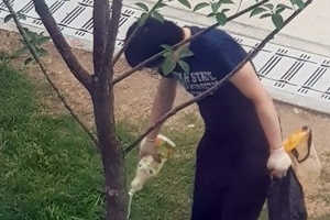 경의선 고양이 죽인 40대 항소심도 실형
