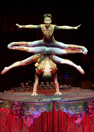 [포토] ‘유연하고 아찔한 묘기’…국제 서커스 페스티벌