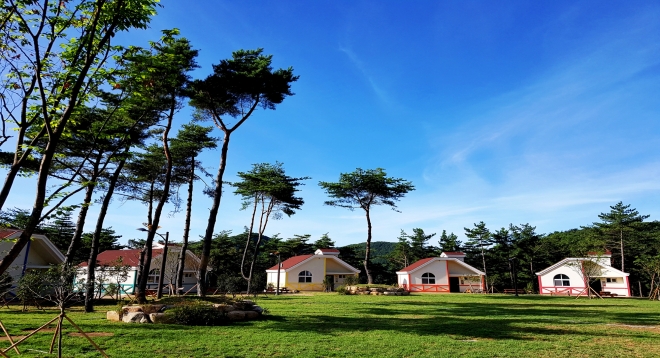 산림청은 65세 이상의 국립자연휴양림 이용 확대를 위해 실버 전용 우선예약 서비스를 도입한다. 사진은 달음산자연휴양림 전경. 서울신문 DB