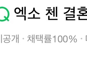 “엑소 첸 결혼” 크리스마스에 올라온 성지글