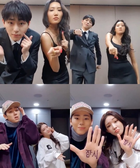 지코 아무노래 댄스 챌린지, 화사 청하