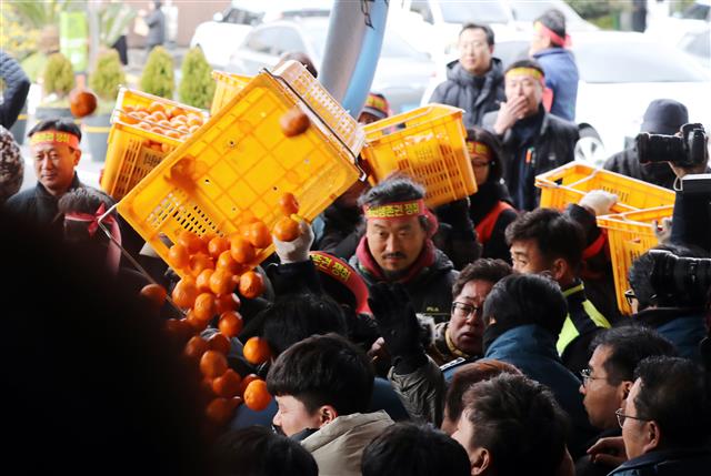 감귤 가격안정관리제를 촉구하는 제주도농민단체 관계자들이 13일 오후 제주도청 본관 앞에서 원희룡 지사와의 만남을 요구하며 감귤을 던지는 등 경찰과 대치하고 있다.2020.1.13<br>뉴스1