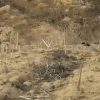 고속도로 횡단하다 숨진 고교생…父 “학폭피해”