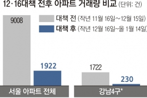 강남4구 거래, 한 달 새 87% 급감… “1억~2억 뛰어” 전셋값은 고공행진