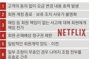 고객 동의없이 요금 변경한 넷플릭스… 공정위, 세계 최초 불공정약관 손봤다