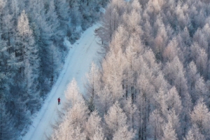 雪國을 찾아서… 冬花를 만나다