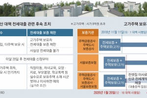 전세대출 이후 시세 올라 9억원 넘으면 ‘대출 만기연장 불가’