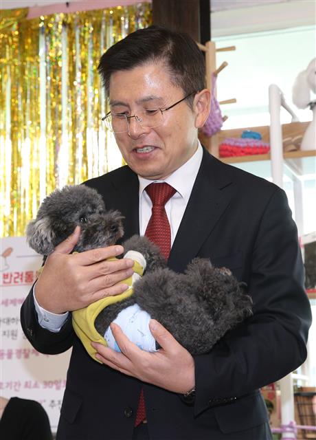 황교안 자유한국당 대표가 21일 오후 서울 마포구 반려견 동반카페 마포다방에서 반려동물 공약을 발표하며 강아지를 안아보고 있다. 2020.1.21 뉴스1