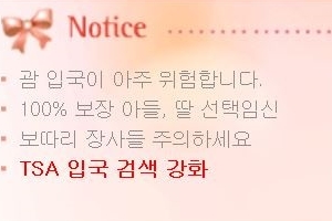 사이판행 항공기타는 여성들 강제 임신테스트 받을 수도