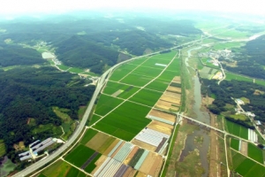 군위군, 주민투표 결과 불복… TK신공항 출발도 하기 전 빨간불