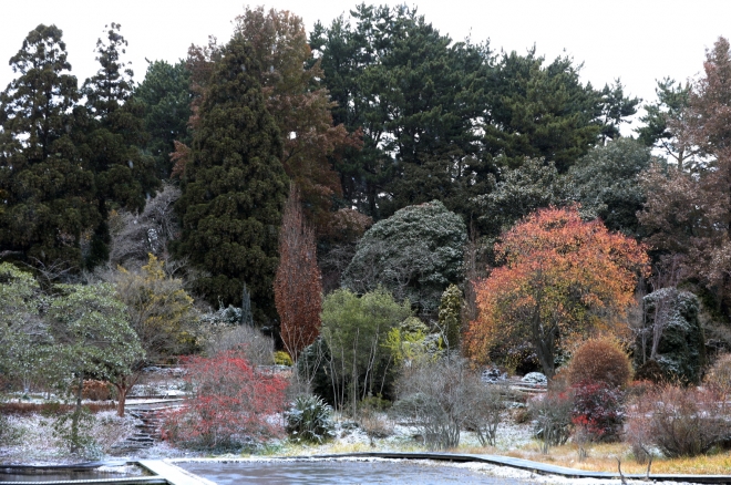 겨울철 천리포수목원 모습. 천리포수목원 제공