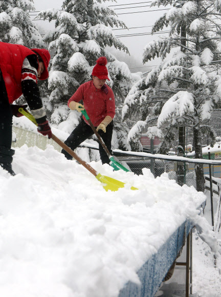강원 덮친 폭설… 내일까지 최고 30㎝ 더