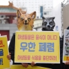 “야생동물 식용, 판매에 전염병 계속…한국도 안전지대 아냐”