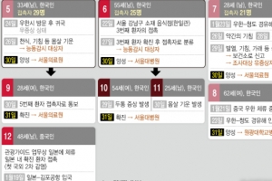 이 그래픽과 12번째와 5번째 확진자 동선 눈여겨 볼 이유