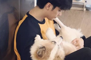 배우 성훈이 입양한 강아지 근황 ‘건강해진 모습’