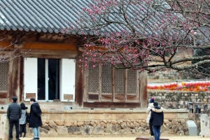봄을 알리는 붉은 꽃망울