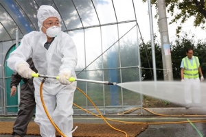 돼지농장 인근마다 소독초소 24시간 운영