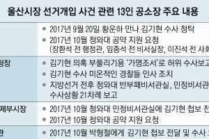 “靑, 김기현 수사 상황 21차례 보고받아”