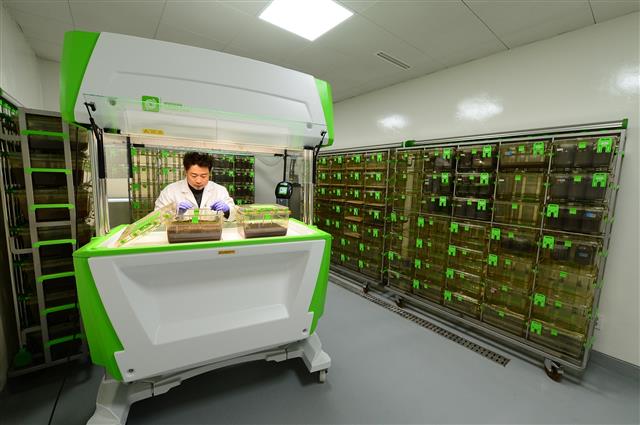 지난해 12월 국내에서 처음 문을 연 충북도 농업기술원 내 곤충종자센터 계통관리실에서 한 직원이 곤충의 발육 상태를 살펴보고 있다. 충북도 제공