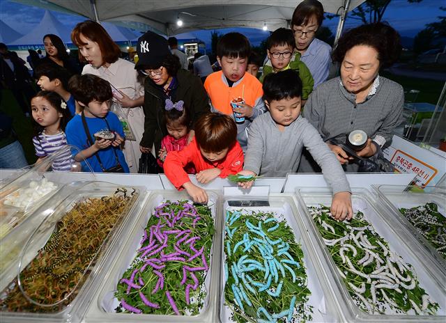 지난해 6월 충북도 농업기술원에서 5일간 진행된 10회 반딧불이·곤충산업축제. 충북도 제공