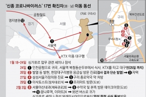 ‘17·19번’싱가포르서 같은 행사 참석…설연휴 서울역서 KTX로 대구 갔다