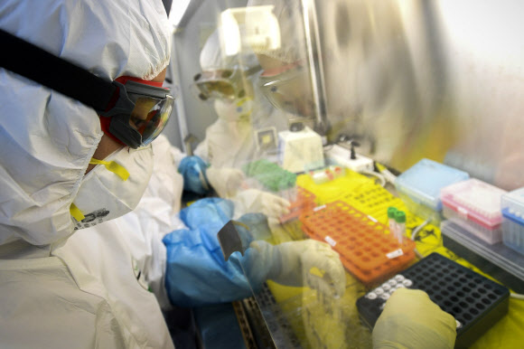 지난 6일 중국 우한의 한 신종 코로나바이러스 실험실에서 직원들이 작업을 하고 있다. AP통신