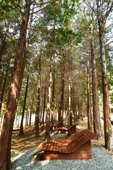 팔영산 자락에 조성된 편백 치유의 숲. 8.4㎞에 이르는 편백숲 체험길과 테라피센터 등으로 구성됐다.