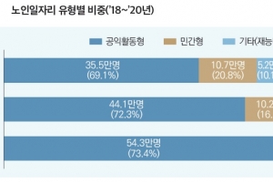 노인일자리 74만명 중 73%는 月30만원 미만 ‘공익활동형’