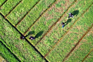 보리야 이제 일어나렴