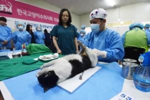 통영시, 길고양이 올해 380마리 중성화 수술