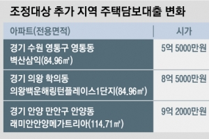 안양 9억 2000만원 아파트 대출 가능액 9600만원 줄어든다