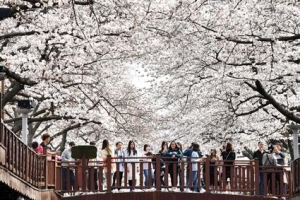 코로나19 확산 속에 정부 지역 축제 권고지침 그대로 유지해 논란