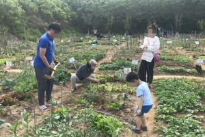 “친환경 텃밭 가꿀 도시농부 모집합니다”…관악 1073구획 분양