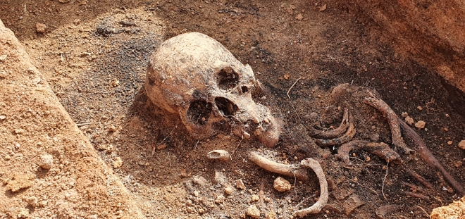하동 흥룡리 고분군에서 발굴된  인골