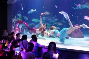 관악, 취약계층 아동 위한 ‘드림스타트’ 사업 진행