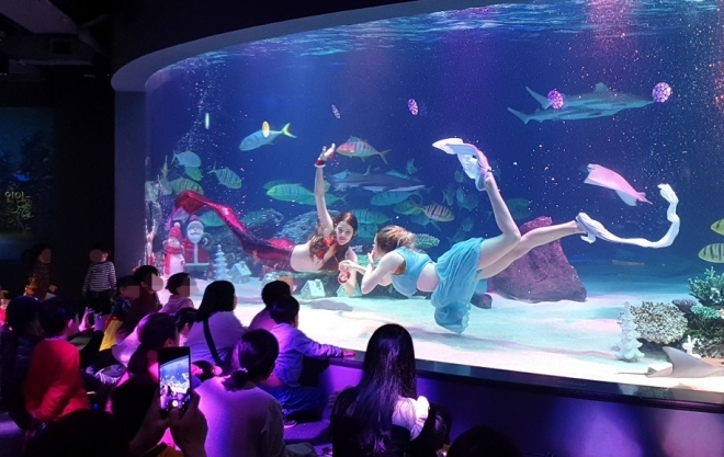 관악 드림스타트 사업