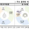 우리나라에 돌아다니는 해외 리콜 장난감…당국 ‘판매차단’ 조치