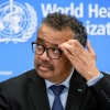 WHO “코로나19, 아직 세계적 대유행 아니다”