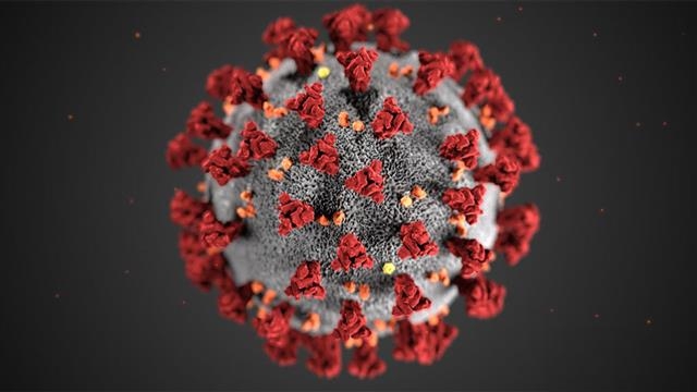 전 세계를 감염의 공포로 몰아넣은 코로나19 바이러스의 형태. 미국 질병통제예방센터(CDC) 제공