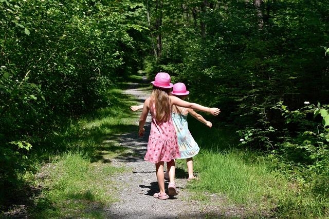자연과 가깝게 지낸 아이들일수록 자연과 생태 보호에 대한 인식과 행복감이 높다는 연구 결과가 나왔다. 픽사베이 제공